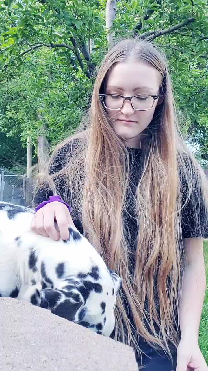 @leslie.hutchings99