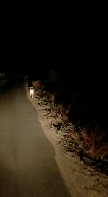 @ajaysinh_80121