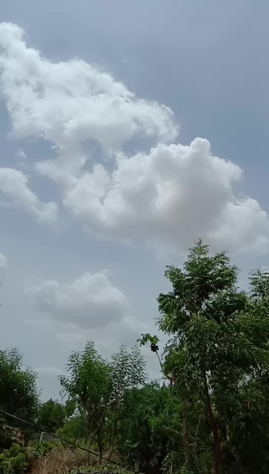 @Naveen Theegala