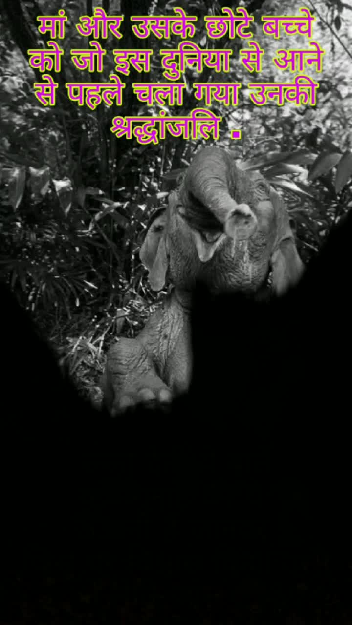 @aniket singh pawan