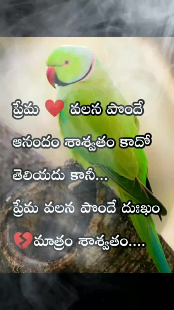 @santhu