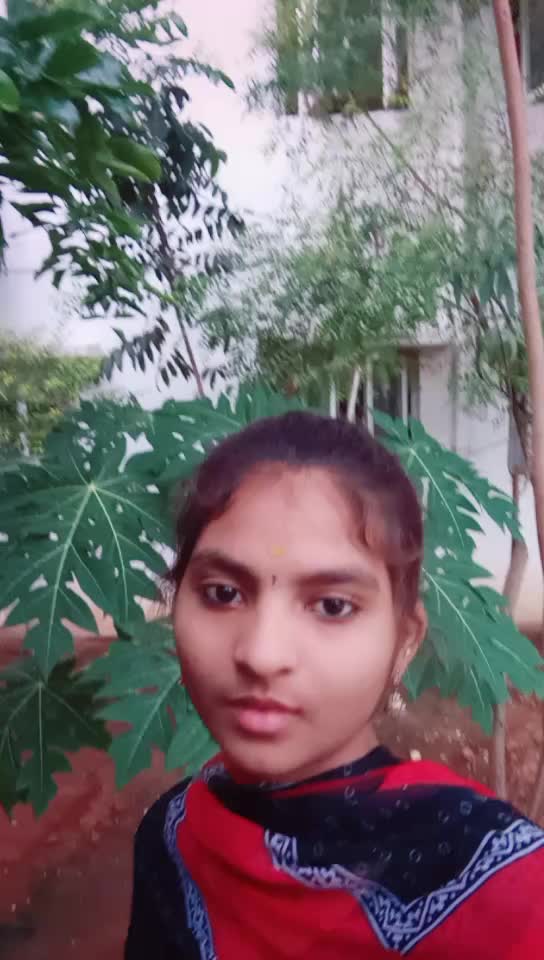 @user6290436080414