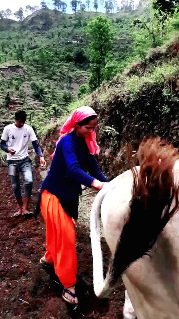 @Laxmi Chauhan