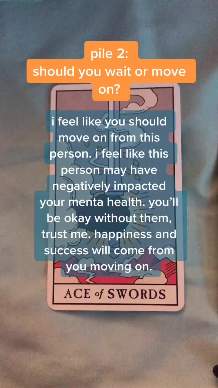 @sunflower tarot 🌻