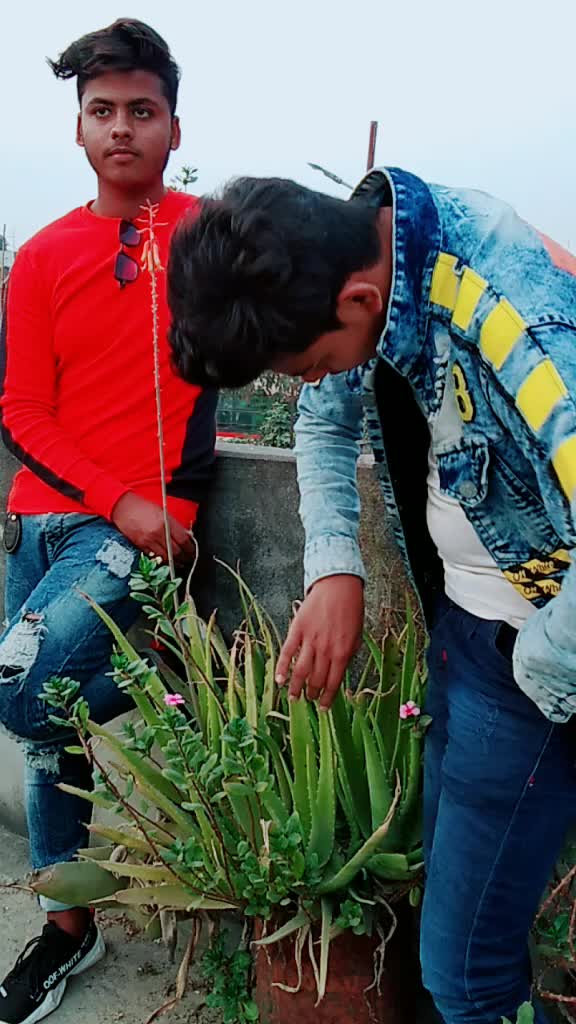 @Jainu khan