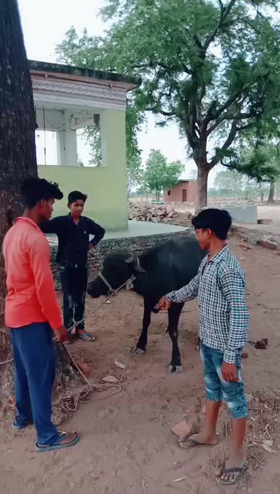 @Abhishek Kushwaha