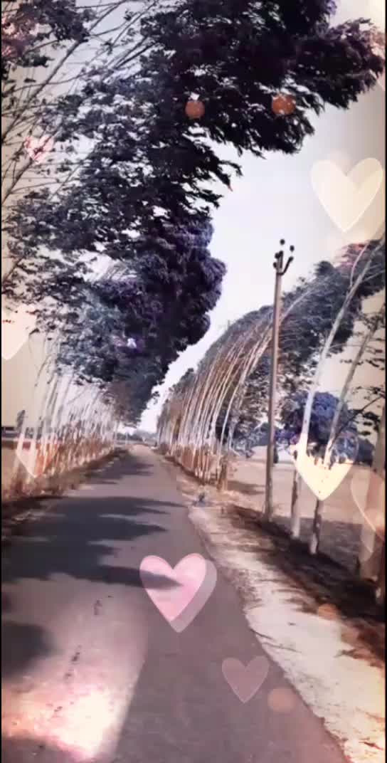 @❤B&atilde;v&iuml;ť&atilde; Bh&atilde;ğ&atilde;ť 😍