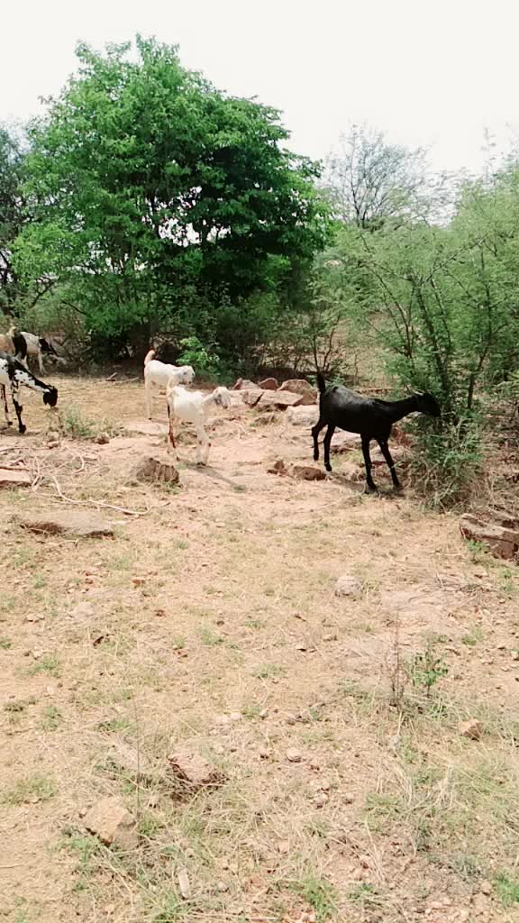@Naresh yadav