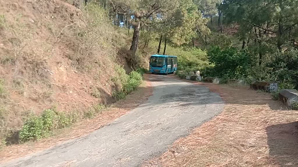 @Himachali chora