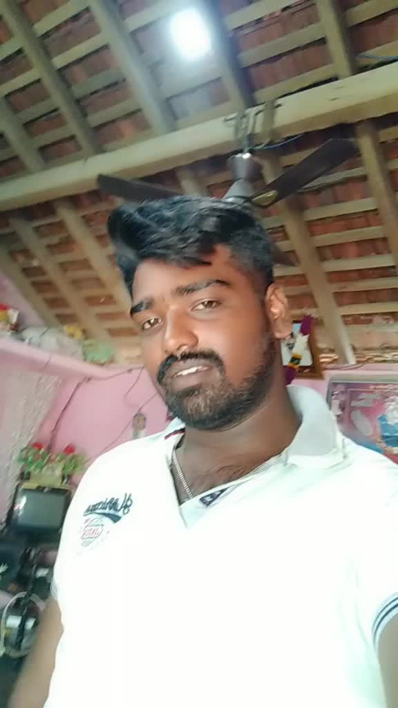 @Chandru Cat