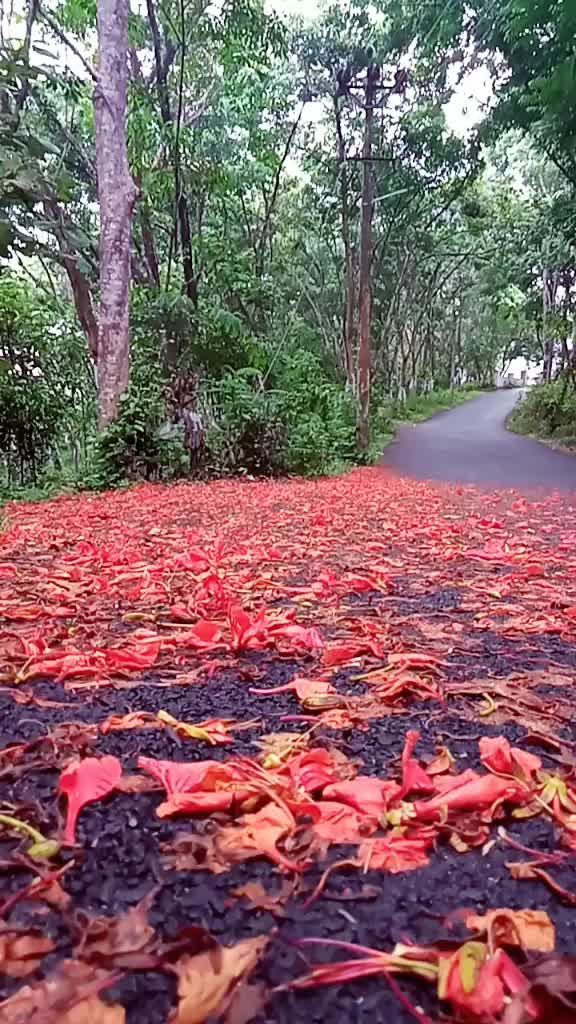 @user39573728752