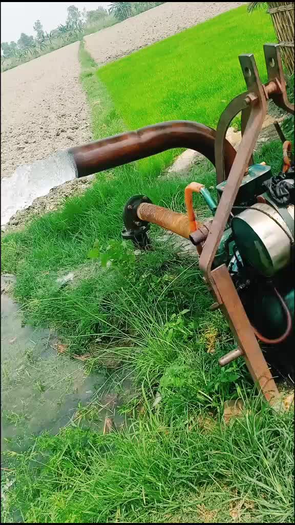 @user6424130769860