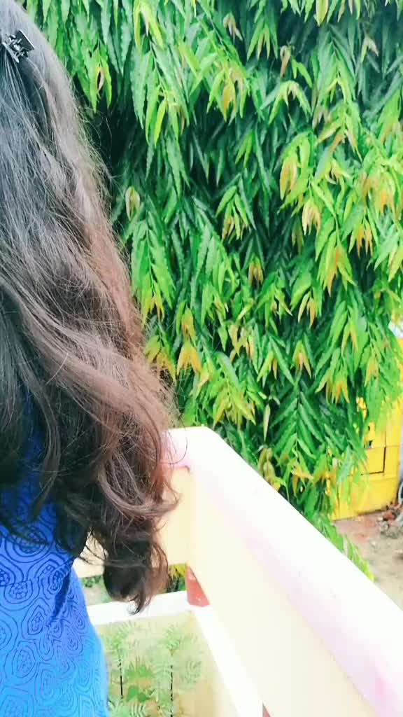 @Shraddha Dwivedi
