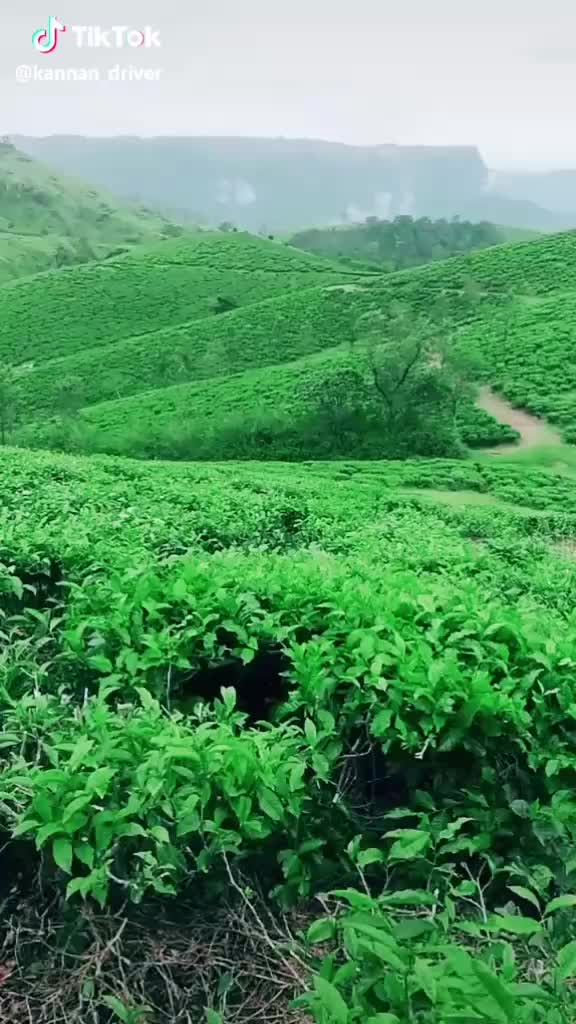 @karthi Backiya
