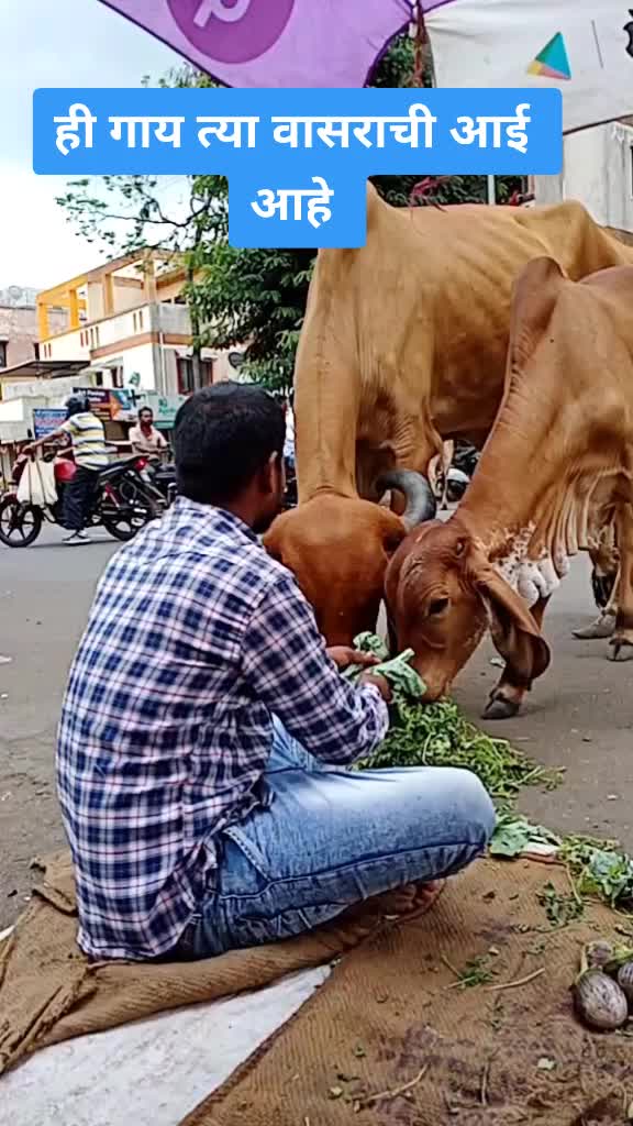 @prabhakarwaghmare15