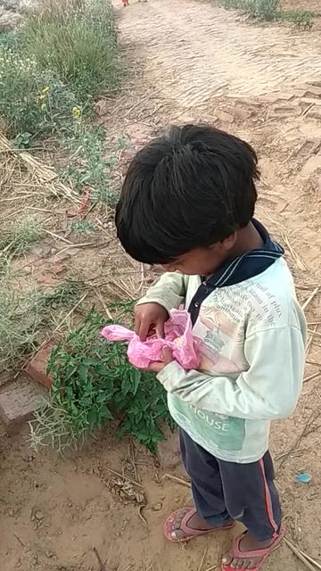 @Sanjay..Mawar.Tosham