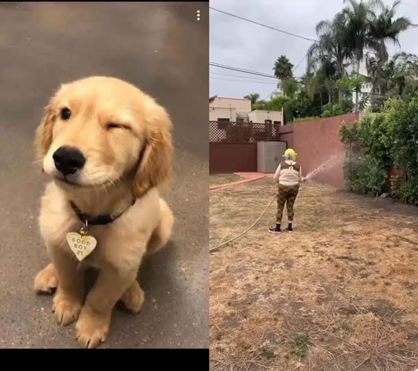 @jesuisunchienlol