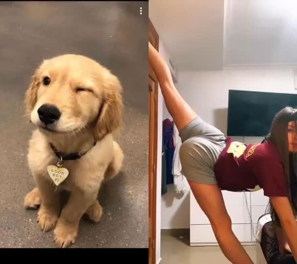 @jesuisunchienlol
