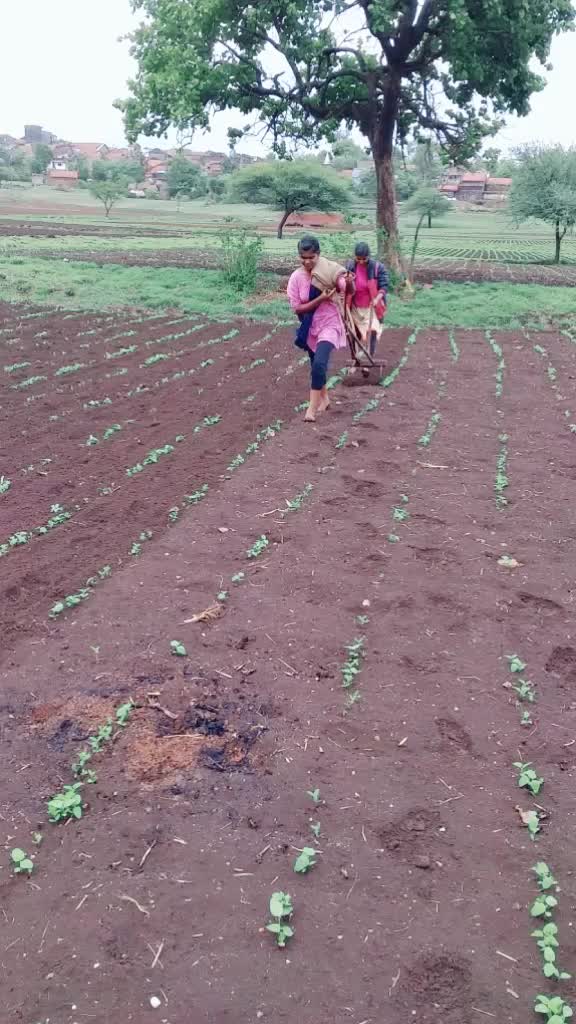 @Rajendra Killedar