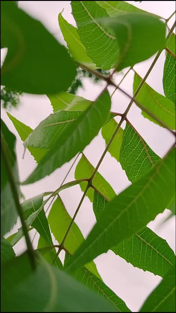 @Posukumar