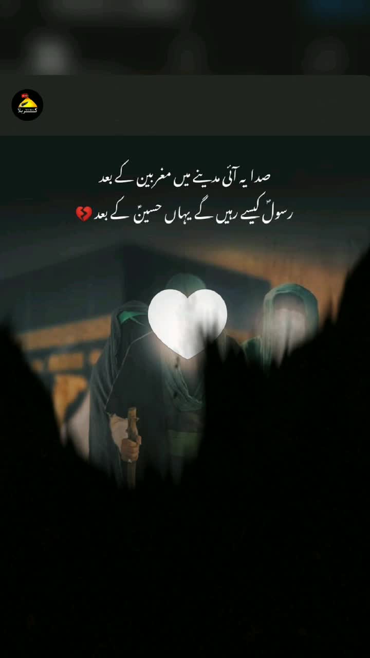 @Syed_Ali❤️