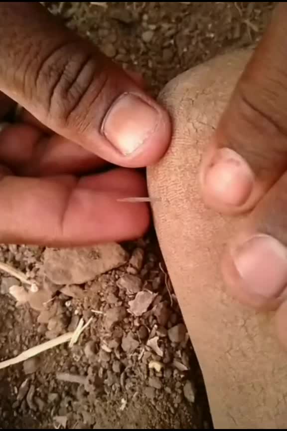 @कट्टर समर्थक 002🇵🇱