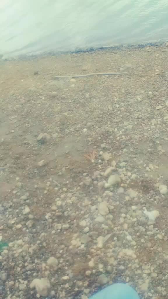 @user675582