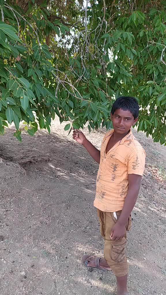 @akashbhong 7856