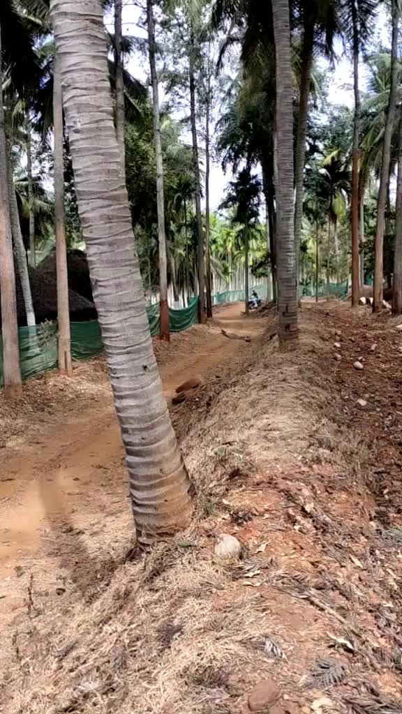 @user2984858689687