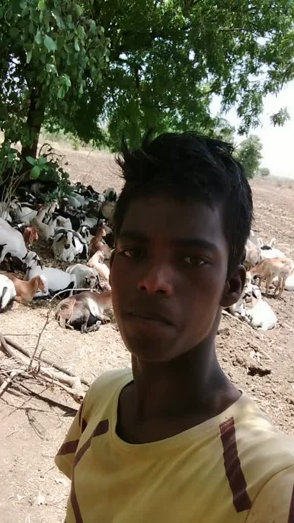 @raju
