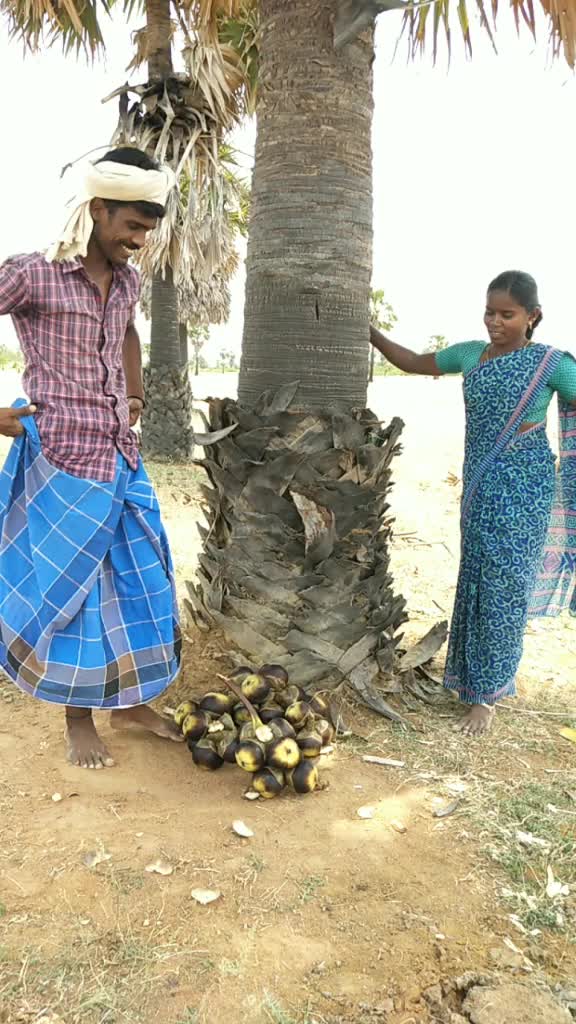 @P.M.T.J.P.Maharaja