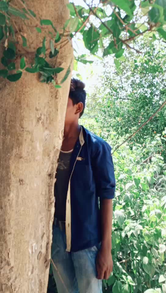 @छ.ग. के मयारू टुरा