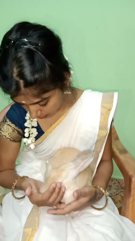 @mahi