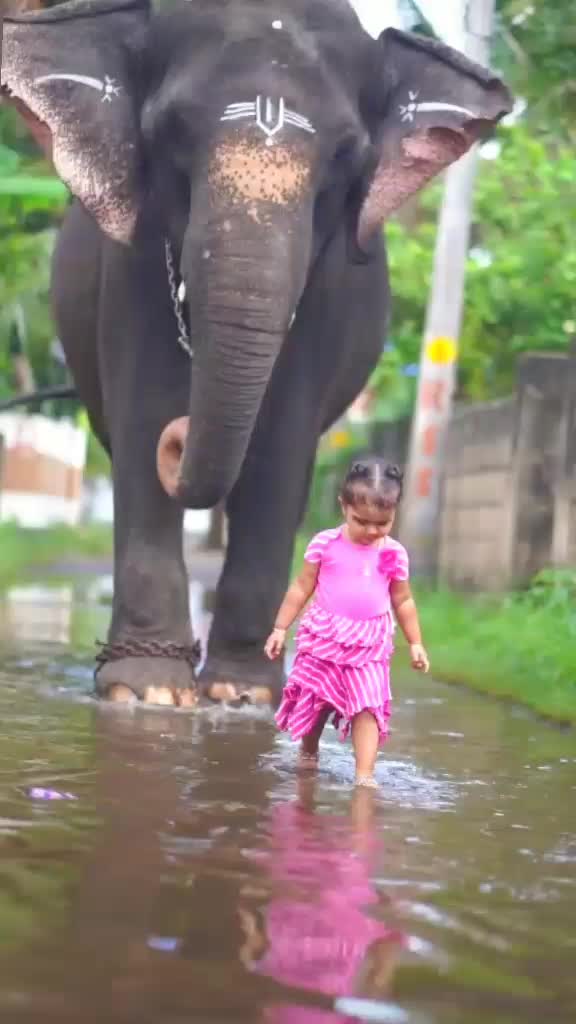 @Ranjith Mohandas