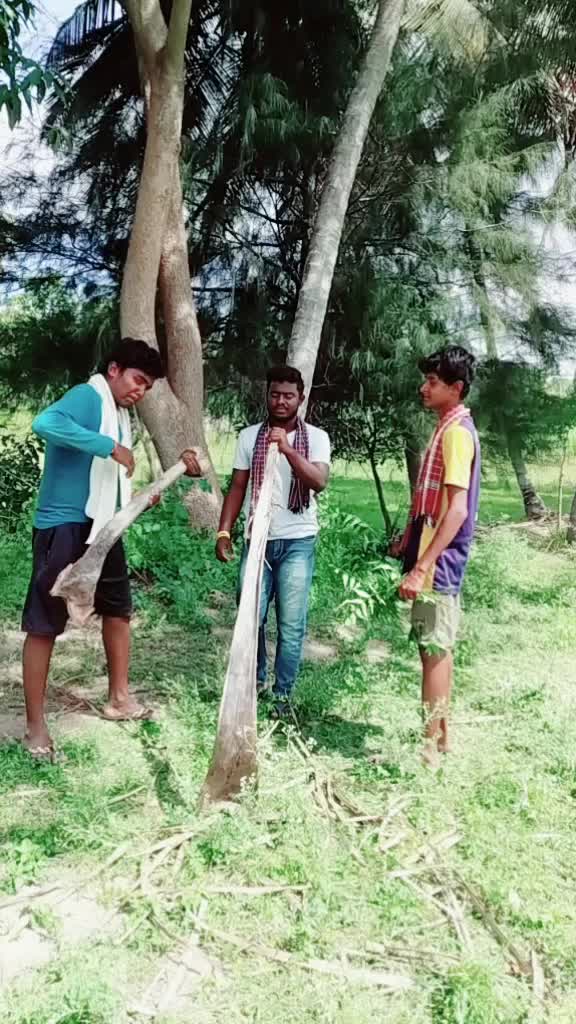 @peddusagar