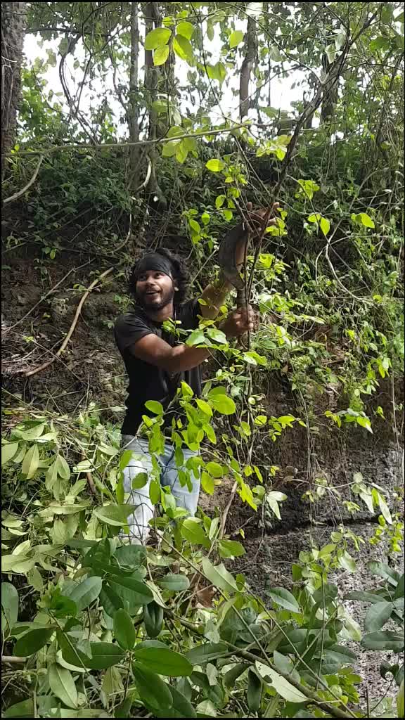 @AKKU KKD