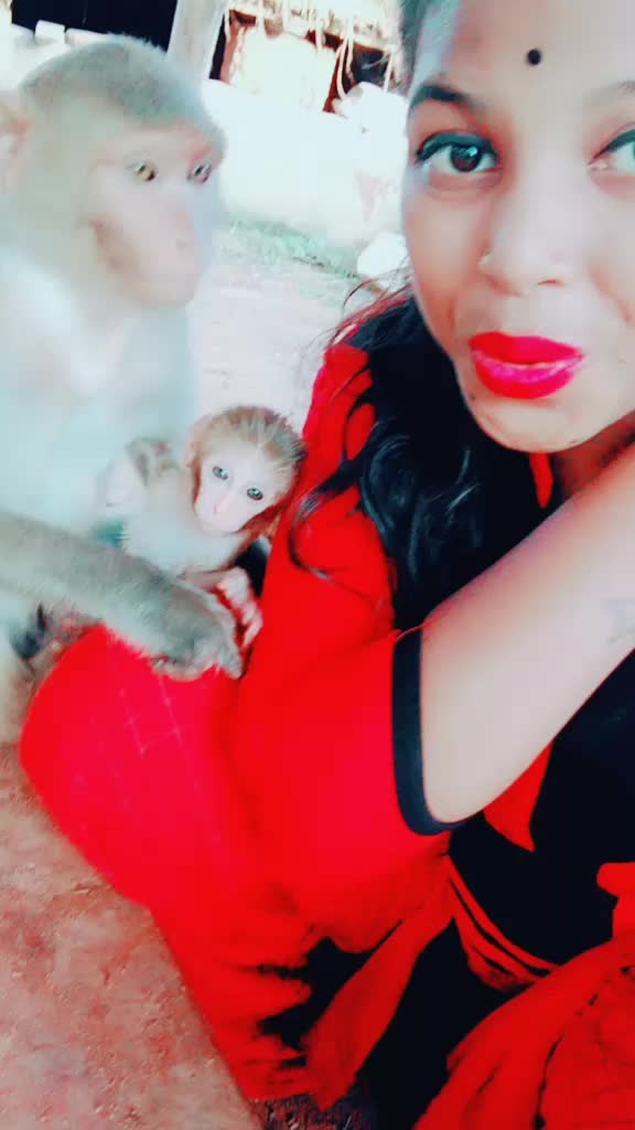 @😍animal lover😍