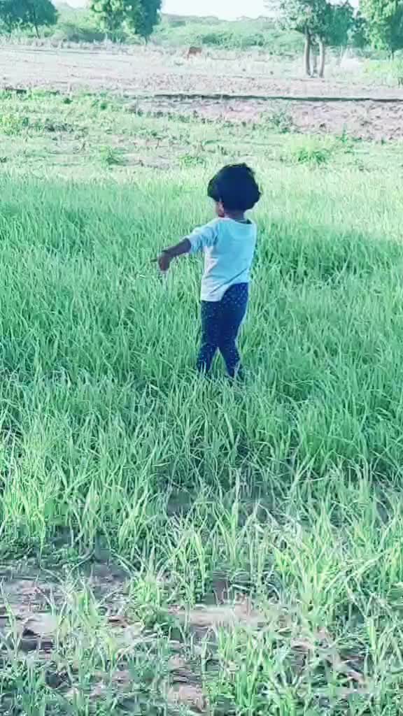 @sekarpriya