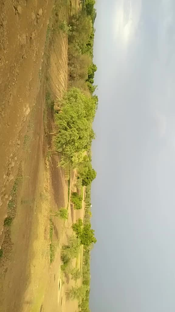 @Vaghela Bapu Sanjay