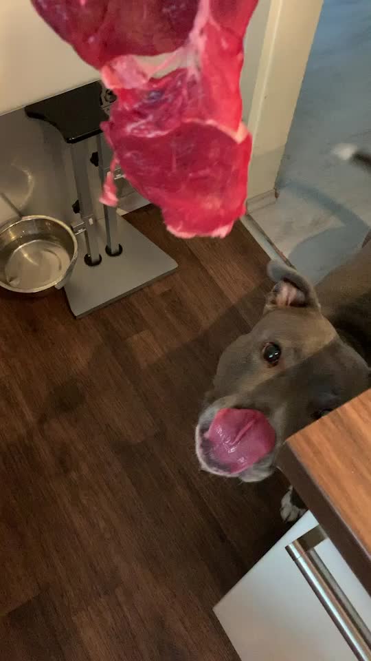 @Pitbulldaddy44