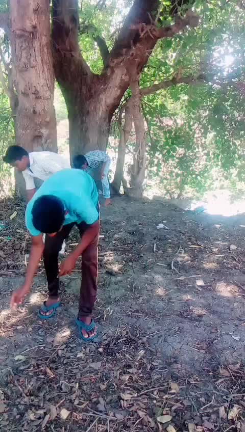 @Lalu basha 2001