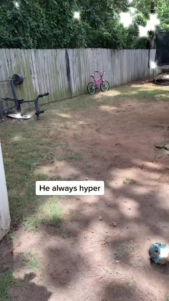 @Max