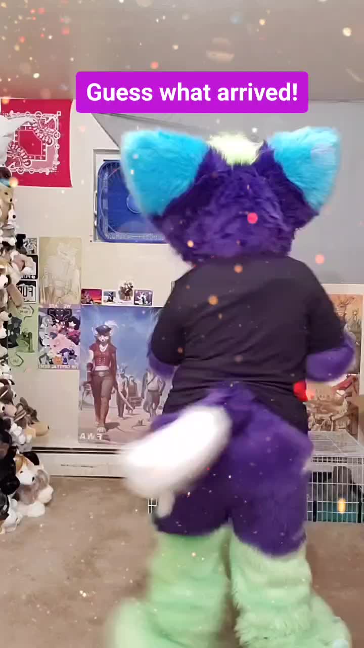 @Luna Husky