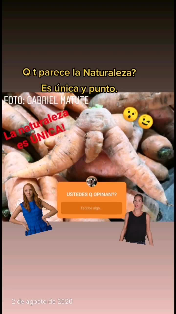 @Jesus Gabriel Matute