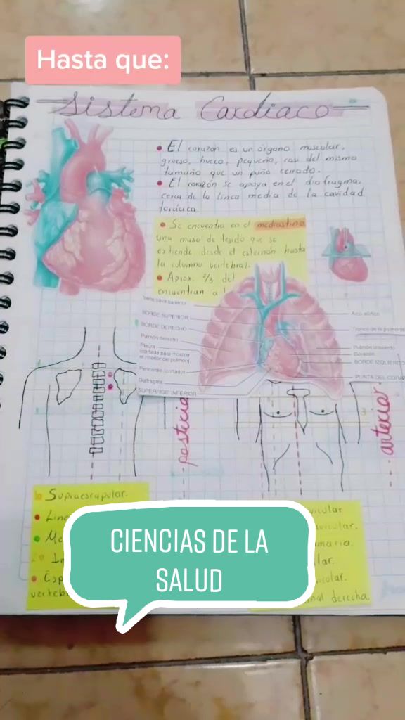 @Luis J.