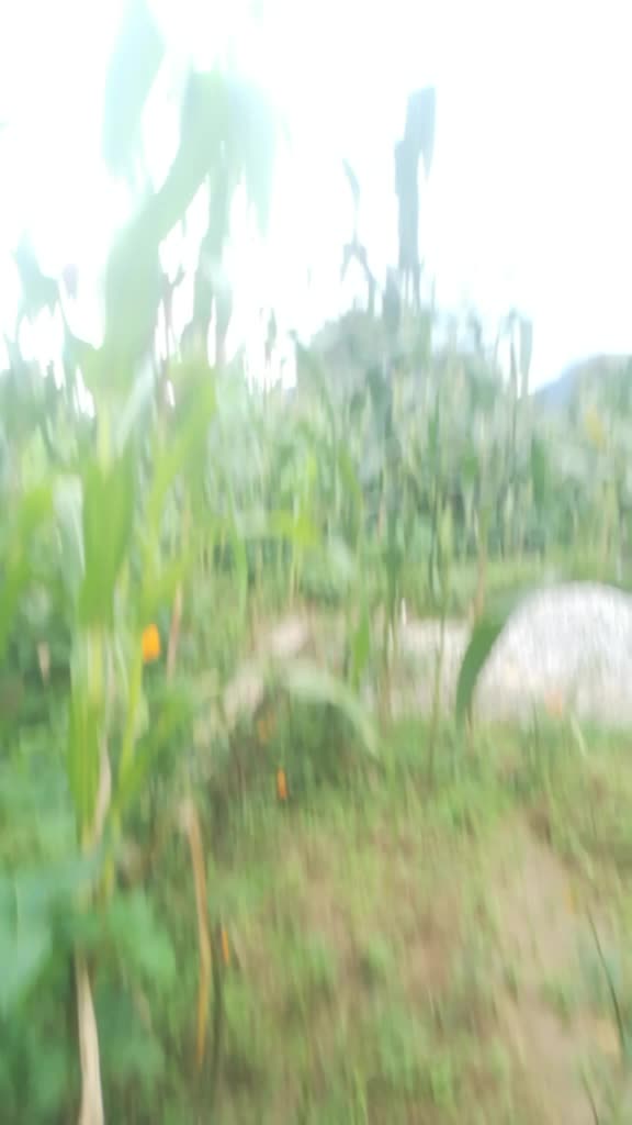 @Sujata Thapa
