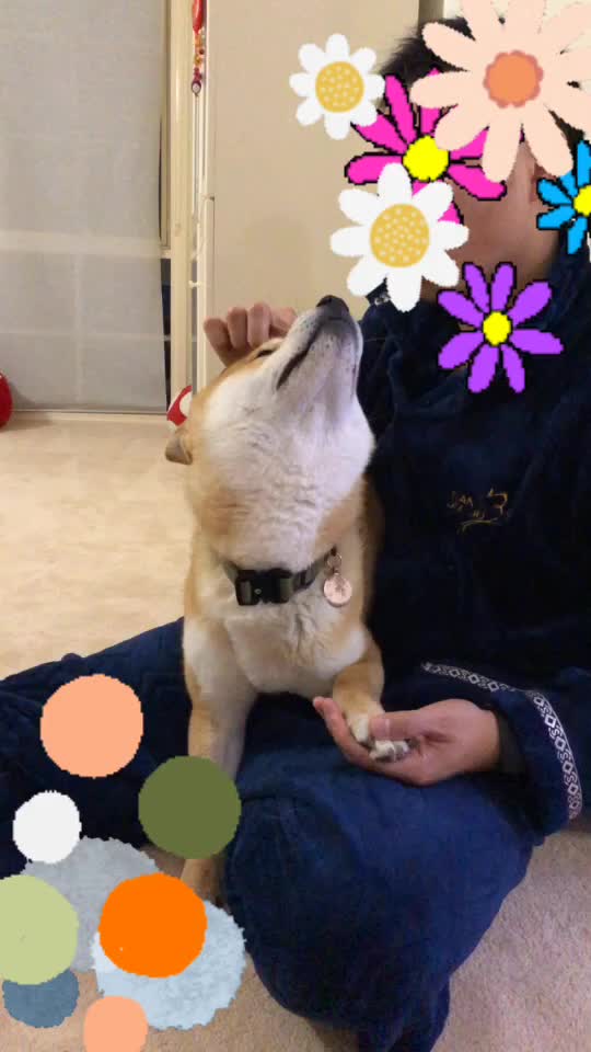 @Mochi.Shogun
