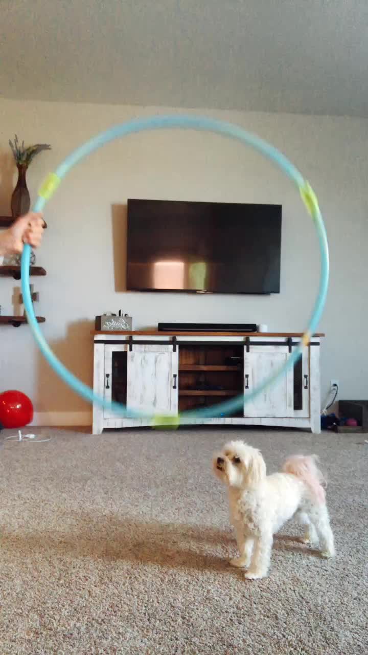 @Just a girl and her dog