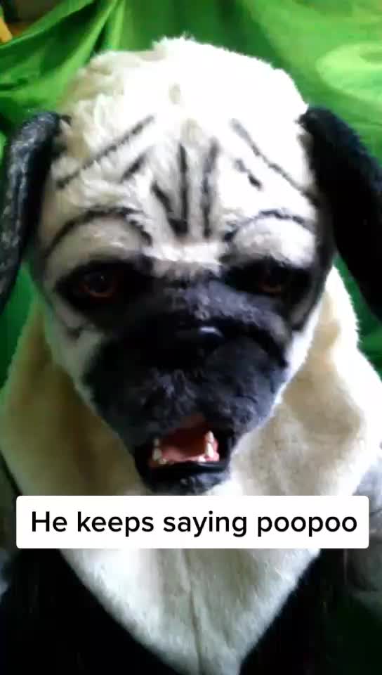 @Furry_Hype_House