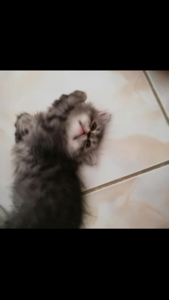 @Hiranur babayiğit